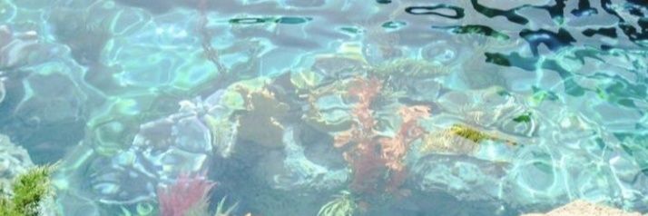 jennn²⁶lolos snbp ui banner