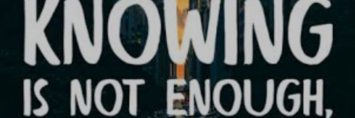 Mr.Paddington banner