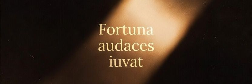 Pye - Trading banner