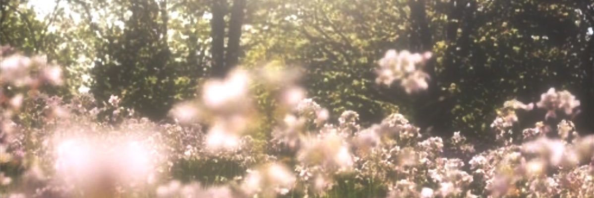 yeonsungii's profile banner image