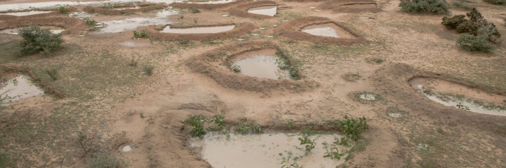 AFAS Future African Savannas banner