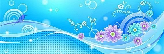 marisola banner