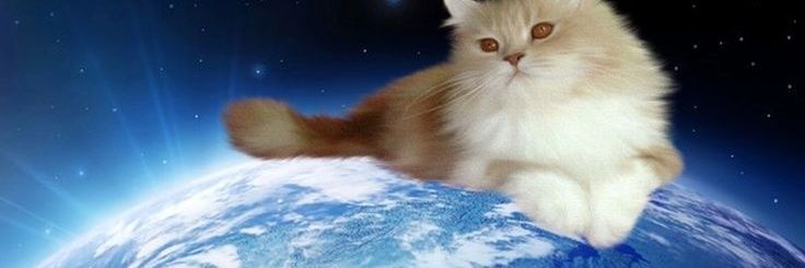 Mari 🇵🇸 ✡️ banner