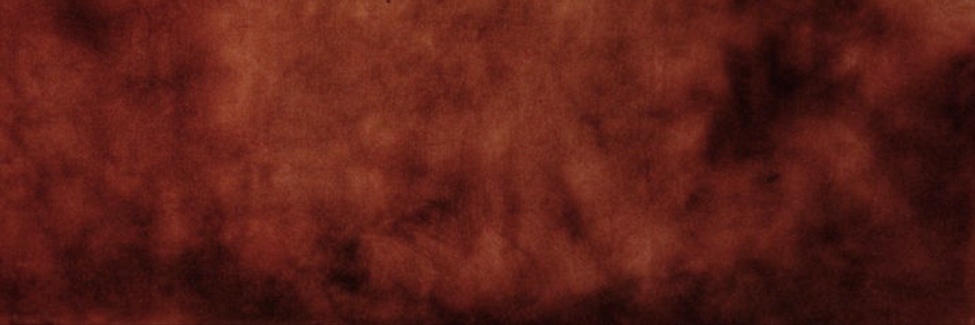 lesbosprinkles's profile banner image