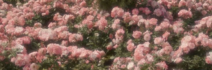_l3oab's profile banner image