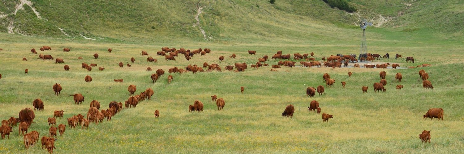 Listen Brother banner