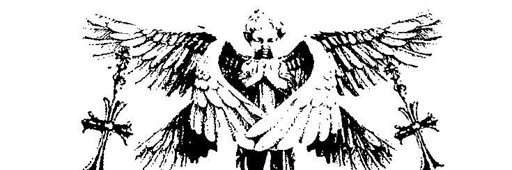 naz banner