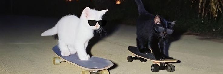 ɴ3ᴋᴏ✰ banner
