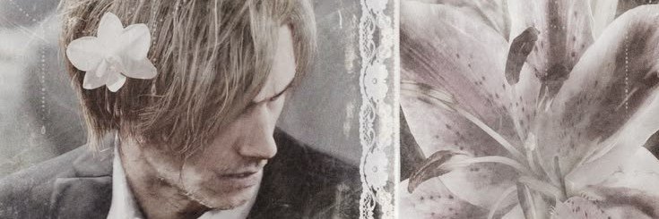 maridodoleon's profile banner image