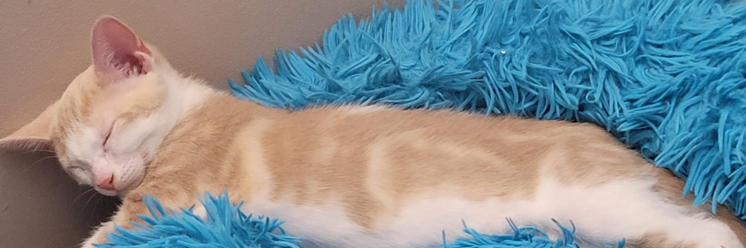 MiraRR34's profile banner image