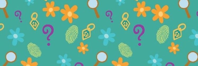 Central do Mistério banner