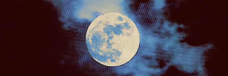fangsofcoyote's profile banner image