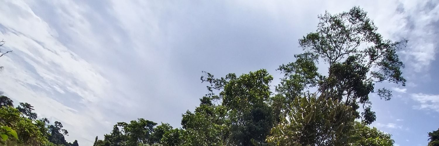 YOD82 Insight banner