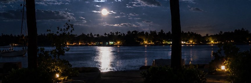 YMTeavnu's profile banner image