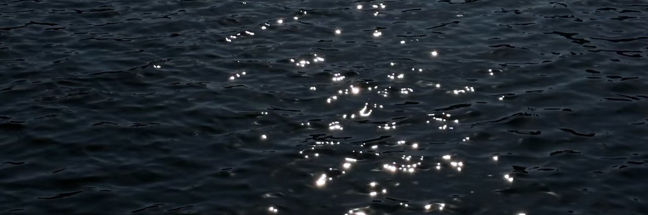 Lucia banner