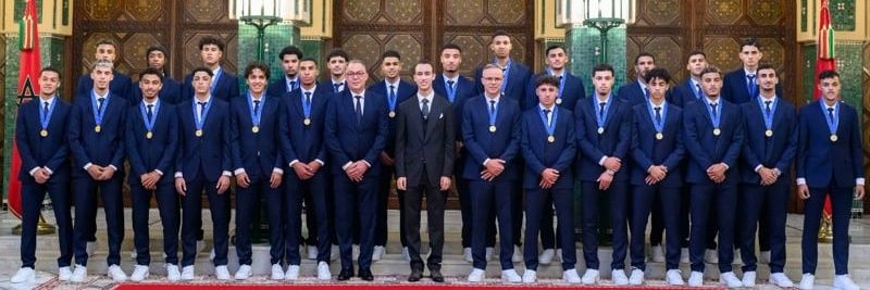 𝑳𝒂 𝒍𝒊𝒐⛥𝒏𝒏𝒆 banner