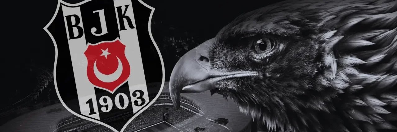 eagle banner