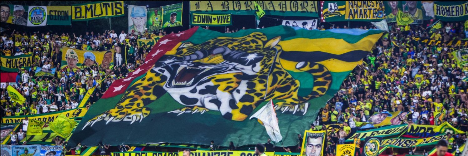 LeopardoenX banner