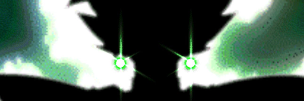 Nora banner