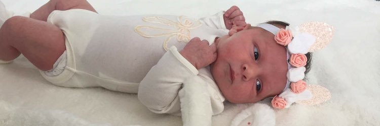 rachysarge's profile banner image