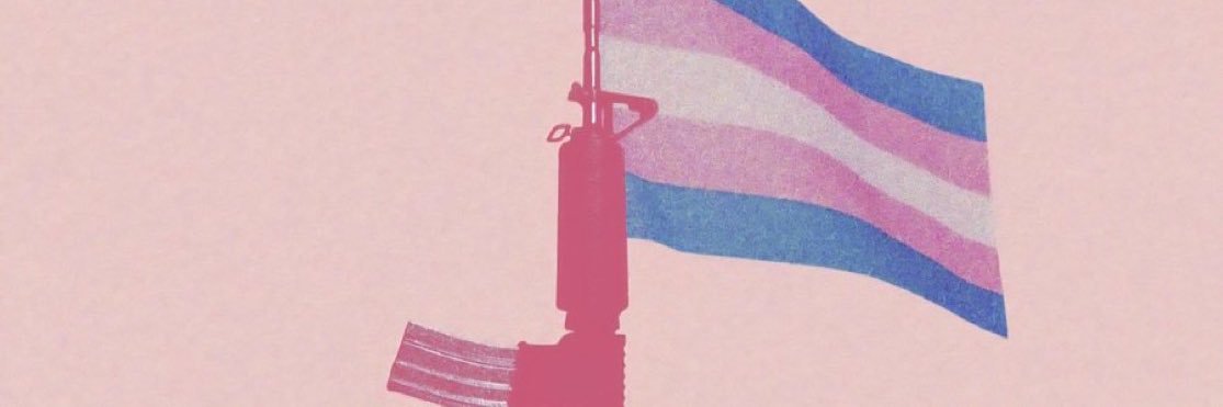 Nosferrus 🏳️‍⚧️ banner