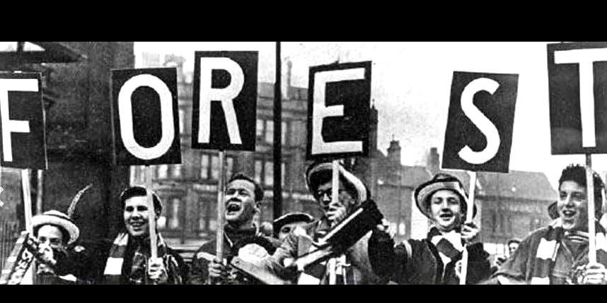 Rich Fox banner