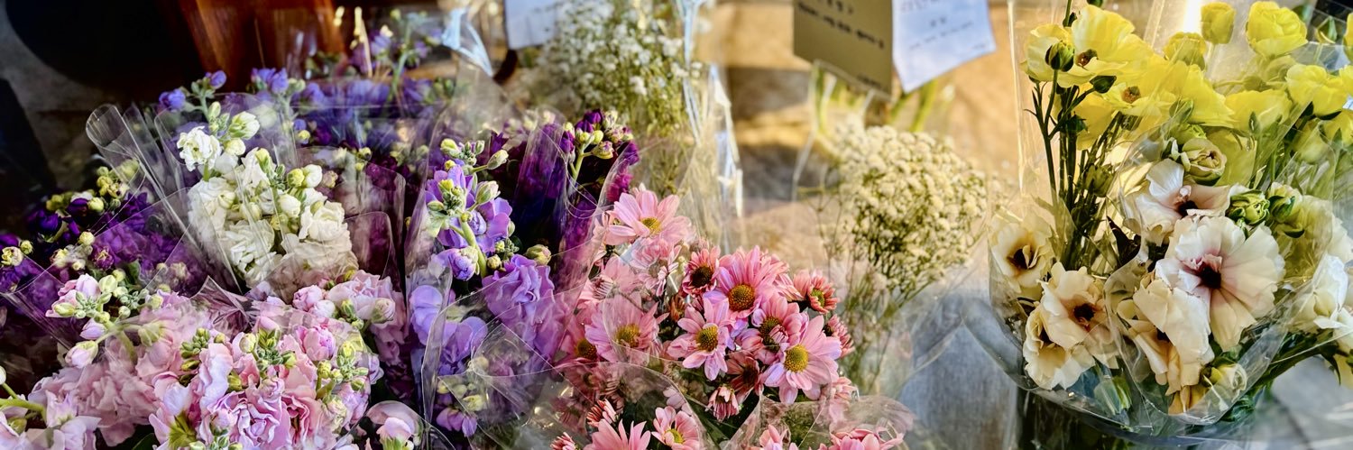 Hương Lê | Christine banner