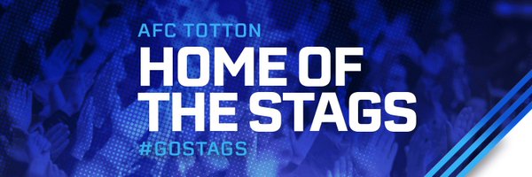 AFC Totton 🦌 Profile Banner