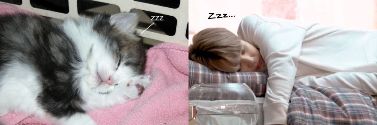 ‘ banner