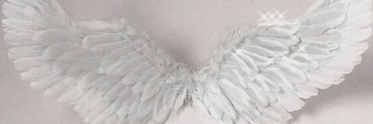 weaknded's profile banner image