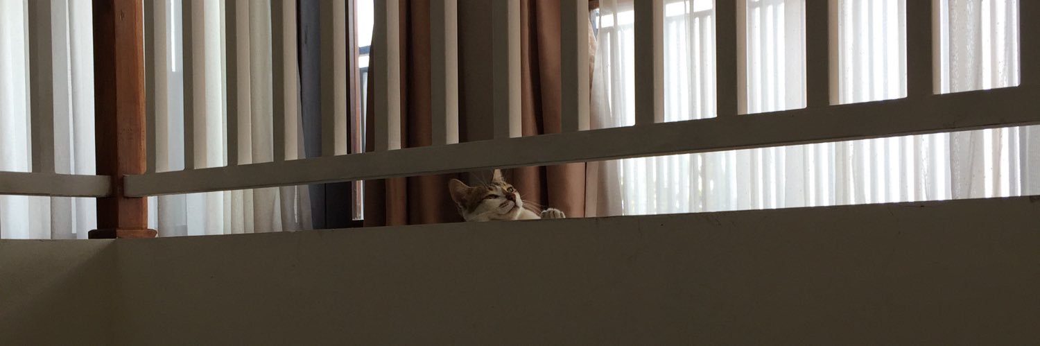 _iijjoo's profile banner image