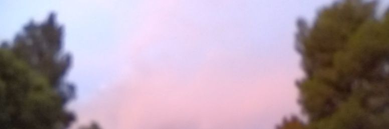 idk what I'm doing banner