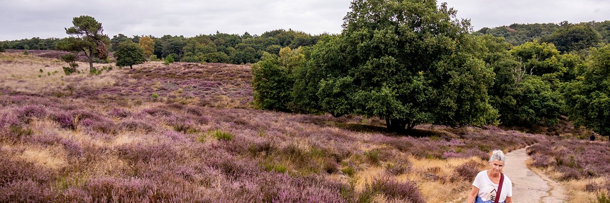pdekoningboxtel's profile banner image