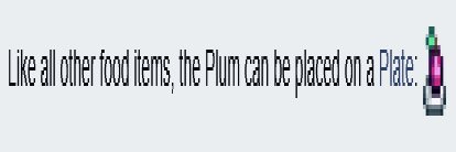 🔞 plum banner