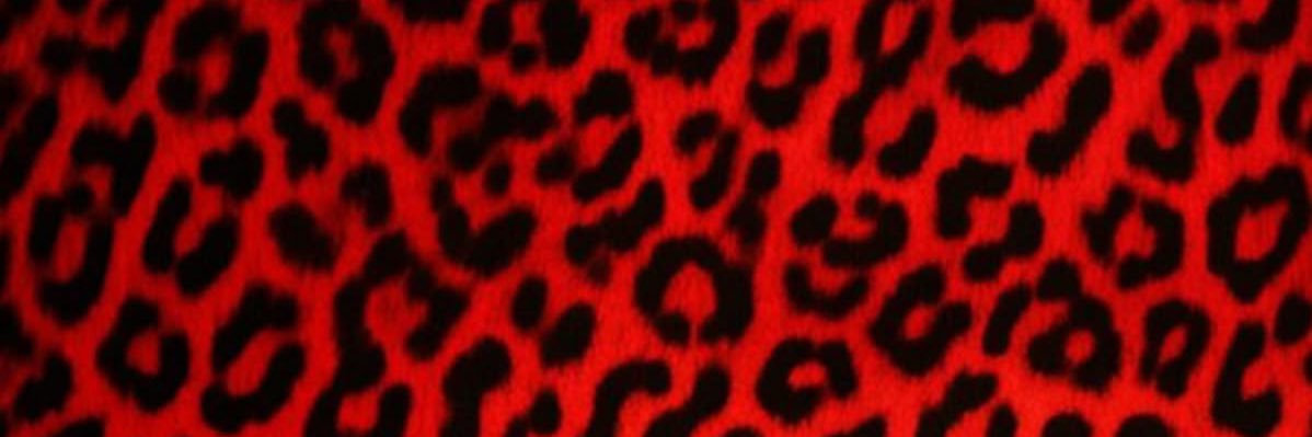 stupidbugbrain's profile banner image