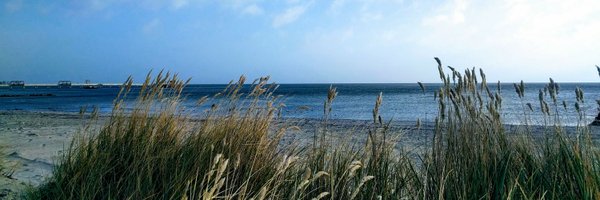 jansen_marc Profile Banner