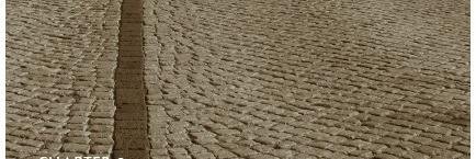 Criterion Institute banner