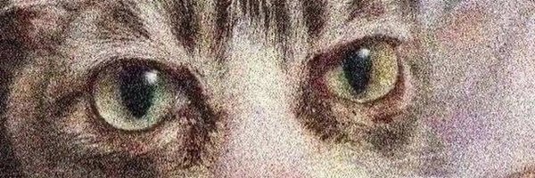 oh_hiF Profile Banner