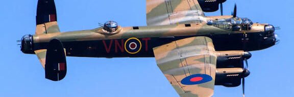 Tigger the Dog. banner