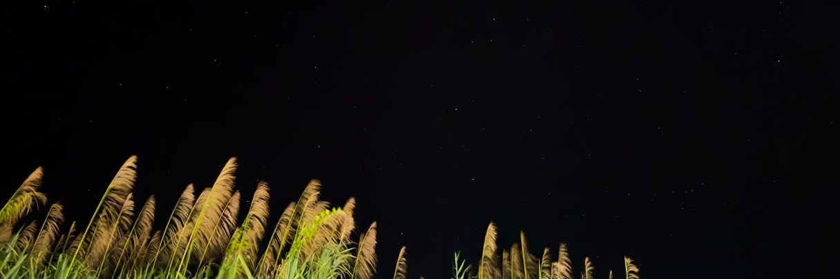 Tarick_trk's profile banner image