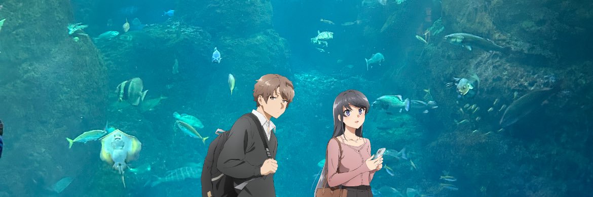 Fuji banner
