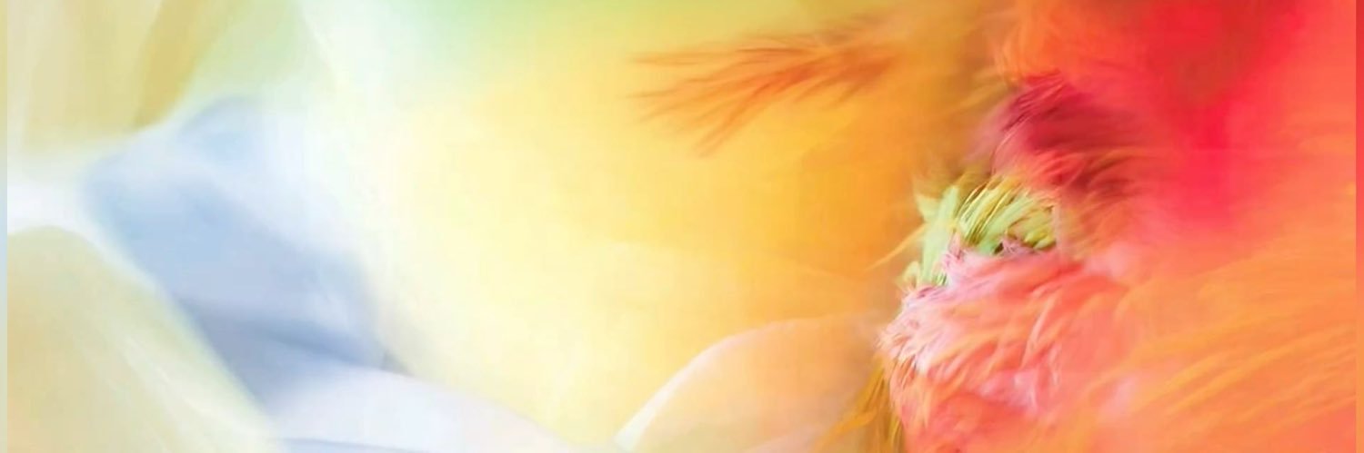 ⋆.ೃ࿔❀*:･ times like these °❀.ೃ࿔* banner