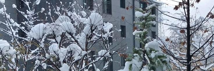 ninanamikento's profile banner image
