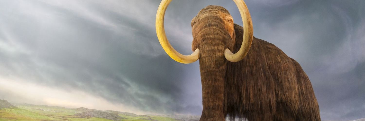 @KarenStrickholm@Mastodon.online banner