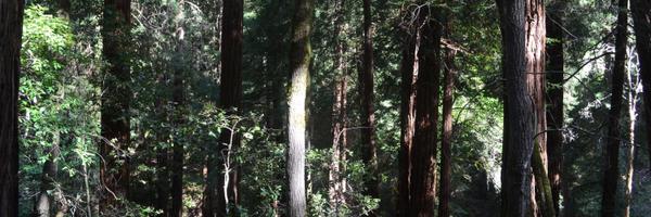 mercerchris Profile Banner