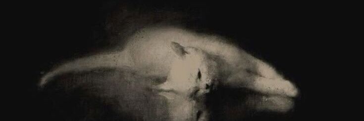 foxy²⁶ lolos utbk banner