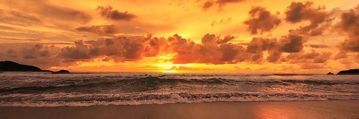 depui | jgn curang y banner