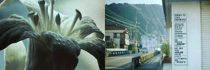 𝘚𝘰𝘭𝘦𝘪𝘭 𝘛𝘩é𝘰𝘥𝘰𝘳𝘦. banner