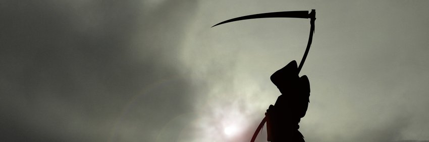 elfodellamorte's profile banner image