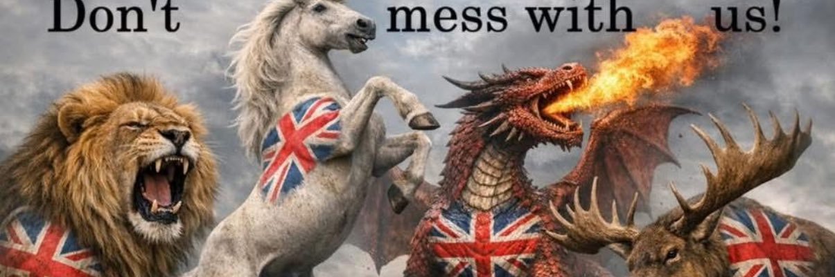 Nick Ashley banner